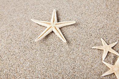 不是“玩电影” 育碧《阿凡达》拥有全新故事和角色